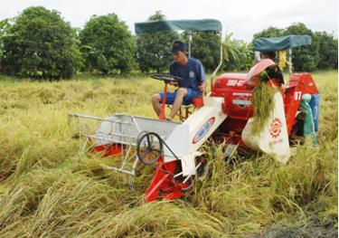 Nâng mức hạn điền, tạo điều kiện thúc đẩy cơ giới hóa trong sản xuất nông nghiệp.