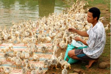 Hy vọng trong thời gian tới, nguồn vốn đến với thanh niên sẽ nhiều hơn.