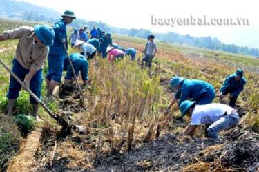 Các tổ chức đoàn thể và người dân xã Thượng Bằng La ra quân làm cây vụ đông tại thôn Bữu.
