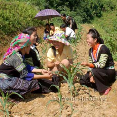 Bằng hình thức cầm tay chỉ việc, Trung tâm đã mang nghề tới cho nông dân vùng cao Mù Cang Chải.