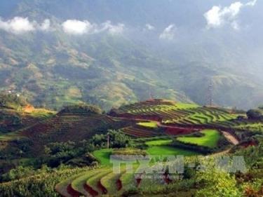 Ruộng bậc thang tại Sa Pa.