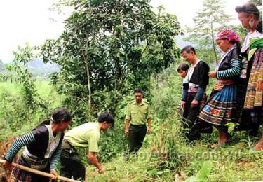 Cán bộ kiểm lâm hướng dẫn đồng bào Mông xã Suối Bu phát dọn đường băng cản lửa PCCCR.
(Ảnh: Văn Thông)