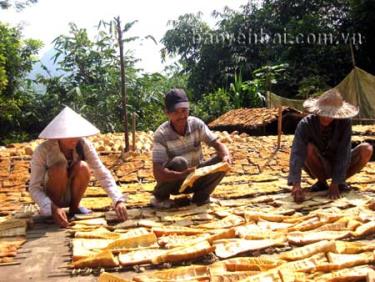 Tăng lợi nhuận, ông Đà không bán măng tươi như mọi năm mà chuyển sang bán măng khô.