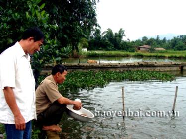 Lãnh đạo xã Thượng Bằng La thăm mô hình nuôi cá của hộ ông Trần Hữu Vượng ở thôn Noong Tài.
