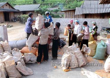 Đồng bào Mông xã Suối Bu đóng bao sản phẩm ngô mang đi tiêu thụ.
