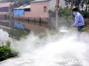 Rắc vôi bột phòng chống dịch bệnh trên khu vực trang trại chăn nuôi gia súc ở địa phương.