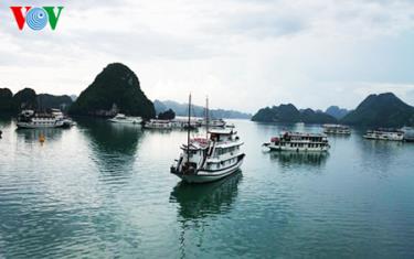 Ngày 1/11 tới đây, Vịnh Hạ Long tròn 20 năm được UNESCO vinh danh là di sản thiên nhiên thế giới.