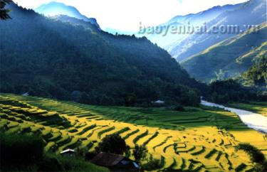 Chiều Mù Cang Chải.
(Ảnh: Thanh Miền)