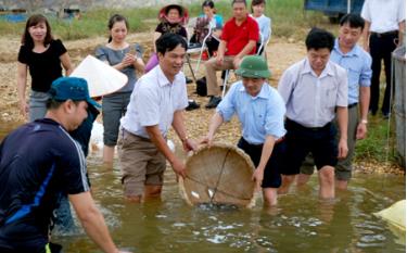 Đồng chí Hoàng Xuân Nguyên và lãnh đạo Chi cục Thủy sản Yên Bái thả  cá giống bổ sung nguồn lợi thủy sản cho hồ Thác Bà.