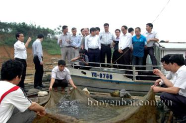 Lãnh đạo Sở KH-CN cùng cán bộ chuyên môn đang kiểm tra mô hình nuôi cá nheo trên hồ Thác Bà.
