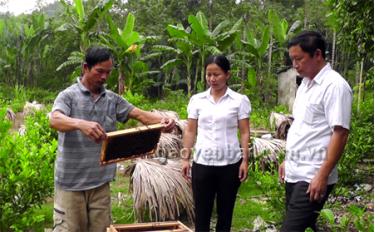 Ông Hoàng Văn Cát (bên trái) thành công với mô hình nuôi ong lấy mật.