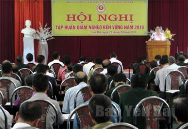 Quang cảnh lớp tập huấn.