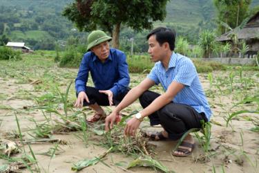 Đồng chí Nguyễn Văn Khánh – Phó Chủ tịch UBND tỉnh trao đổi với lãnh đạo xã Thạch Lương, huyện Văn Chấn về giải pháp khôi phục đất sản xuất.