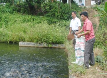 Mô hình phát triển kinh tế mang lại hiệu quả cao của CCB Nguyễn Ngọc Thắm.