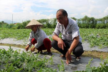 Anh Hà Văn Sinh - cán bộ địa chính, nông nghiệp xã Thanh Lương trao đổi kỹ thuật trồng dưa hấu với người dân.