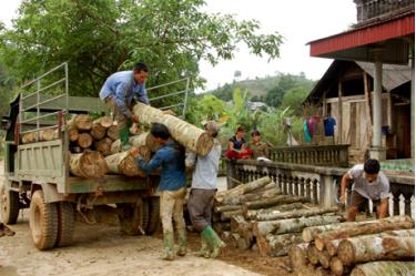 Hàng năm, các cơ sở chế biến trên địa bàn tiêu thụ trên 450.000 m khối gỗ rừng trồng. Ảnh Quang Tuấn