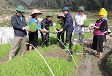 Các đồng chí lãnh đạo huyện Trạm Tấu sâu sát cơ sở, động viên nhân dân gieo cấy lúa xuân đúng thời vụ. (Ảnh: Phương Thuỳ)