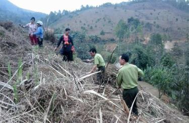 Kiểm lâm huyện Lục Yên hướng dẫn người dân xã Tân Phượng kỹ thuật phát dọn nương rẫy.