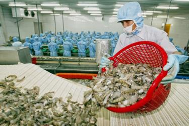 Tôm là 1 trong 15 sản phẩm được đề xuất trong Danh mục sản phẩm nông nghiệp chủ lực quốc gia. Năm 2017, giá trị xuất khẩu từ con tôm đạt 3,8 tỷ USD, cao nhất trong nhóm thủy sản.