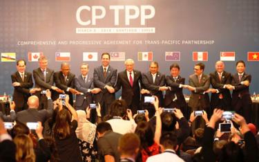 CPTPP chính thức được ký kết hồi tháng 3/2018 với 11 thành viên.