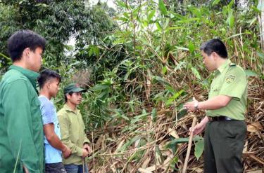 Cán bộ Trạm Kiểm lâm Cầu Gỗ thường xuyên phối hợp với các tổ đội bảo vệ rừng ở các xã tuần tra rừng.