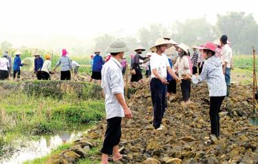 Nông dân phường Tân An đóng góp ngày công làm đường nội đồng (ảnh tư liệu).