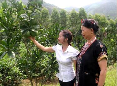 Mô hình kinh tế tổng hợp của chị Đặng Thị Nhâm, thôn Đồng Tý (bên phải) được Hội Phụ nữ xã Phúc An giới thiệu để chị em trong xã nhân rộng.