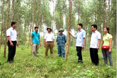 Lãnh đạo Hội Nông dân tỉnh thăm đồi rừng thực hiện mô hình “Làng nông thuận thiên” của gia đình anh Trần Trung Kiên, thôn Mạ, xã Vĩnh Kiên, huyện Yên Bình.