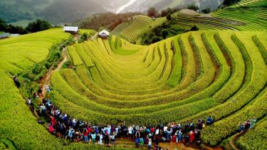 Ruộng bậc thang Mù Cang Chải mỗi năm thu hút hàng ngàn du khách, nhiếp ảnh gia trong và ngoài nước. Ảnh: Thanh Miền