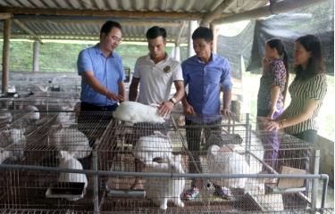 Ông Giàng A Câu - Chủ tịch Hội Nông dân tỉnh thăm HTX Dịch vụ chăn nuôi Lâm Thượng, huyện Lục Yên.