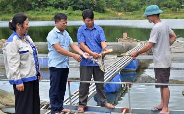 Lãnh đạo xã Phan Thanh thăm mô hình nuôi cá lồng của Hợp tác xã Thủy sản Phan Thanh.