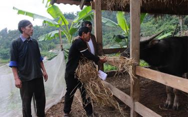 Nông dân huyện Mù Cang Chải được hướng dẫn các kỹ thuật phòng, chống đói rét cho vật nuôi, nên không còn tình trạng gia súc bị chết do đói rét.