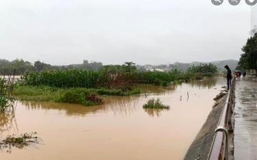 Để chủ động ứng phó, giảm thiểu thiệt hại do thiên tai, chính quyền các địa phương và nhân dân cần chú ý theo dõi các bản tin cảnh báo thời tiết trên các phương tiện thông tin đại chúng.