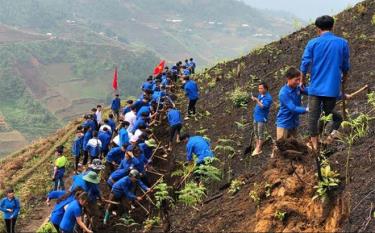 Công trình khai hoang ruộng bậc thang tại huyện Trạm Tấu do Ban Thường vụ Tỉnh đoàn phối hợp với huyện Mù Cang Chải và Trạm Tấu chỉ đạo thực hiện, thu hút đông đảo ĐVTN tham gia.