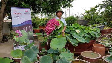 Anh Phạm Kim Tiến với những “bông sen khởi nghiệp” cho doanh thu hàng tỉ đồng