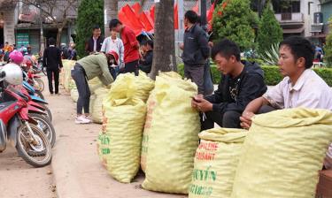 Nỗi buồn trên gương mặt của người dân bày bán quả sơn tra tại thị trấn Mù Cang Chải.