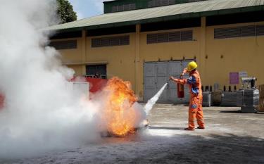 Cán bộ, công nhân viên Công ty Điện lực Yên Bái trong buổi huấn luyện sử dụng bình chữa cháy xách tay.