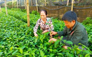 Trưởng thôn Đỗ Thị Minh Hợi luôn gần gũi với người dân, tận tụy trong từng việc làm nhỏ nhất.