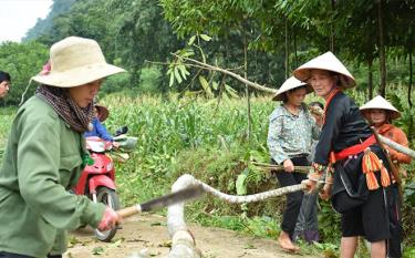 Người dân xã Khai Trung chặt bỏ cây cối, hiến đất mở rộng tuyến đường Khai Trung - Minh Chuẩn.