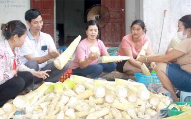 Chủ tịch UBND xã Thượng Bằng La Hoàng Đình Mưu (thứ 2 bên trái sang) hướng dẫn người dân kỹ thuật sơ chế măng tươi.