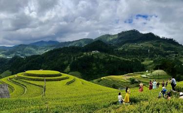 Du khách tham quan, chụp ảnh ở khu ruộng bậc thang đồi Mâm Xôi, xã La Pán Tẩn, huyện Mù Cang Chải.