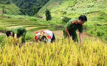 Công an huyện Mù Cang Chải “ba cùng” với đồng bào các dân tộc vùng cao.