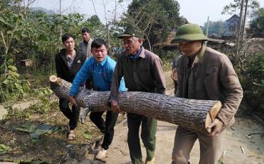 Người dân Lục Yên tình nguyện chặt bỏ cây cối trên đất để hiến đất làm đường.