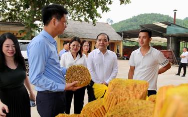 Phó Chủ tịch Thường trực UBND tỉnh Nguyễn Thế Phước kiểm tra cơ sở sản xuất của Hợp tác xã quế Khánh Thành, xã Hoà Cuông.