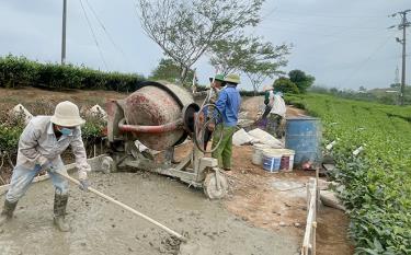 Người dân thị trấn nông trường Liên Sơn, huyện Văn Chấn tích cực góp sức làm đường GTNT.