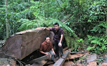 Ông Phùng Văn Quan và phóng viên Báo Yên Bái tại một điểm phá rừng ở Lâm Giang (ảnh chụp năm 2008).