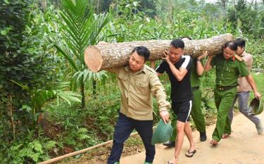 Cán bộ, chiến sĩ Công an huyện Lục Yên tham gia lao động, vận chuyển cây cối giải phóng mặt bằng làm đường giao thông tại thôn Hin Lò, xã Yên Thắng.