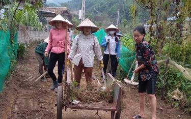 Phụ nữ xã Tô Mậu tham gia vệ sinh các tuyến đường giao thông nông thôn trên địa bàn.