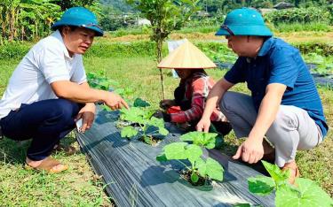 Lãnh đạo Đảng ủy xã Sơn Lương, huyện Văn Chấn kiểm tra trồng cây vụ đông năm 2024 tại thôn Nà La.