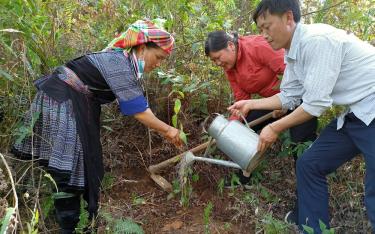 Cán bộ, đảng viên huyện Mù Cang Chải tích cực tham gia cùng bà con trồng rừng trong 